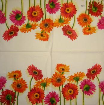343 Daisies - 3-ply - Ambiente - CS